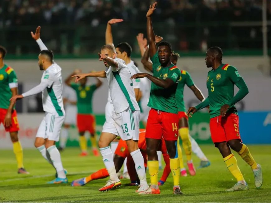 La « FIFA » décide officiellement de rejouer le match entre l’Algérie et le Cameroun.. Quelle est la vérité de l’actualité ?