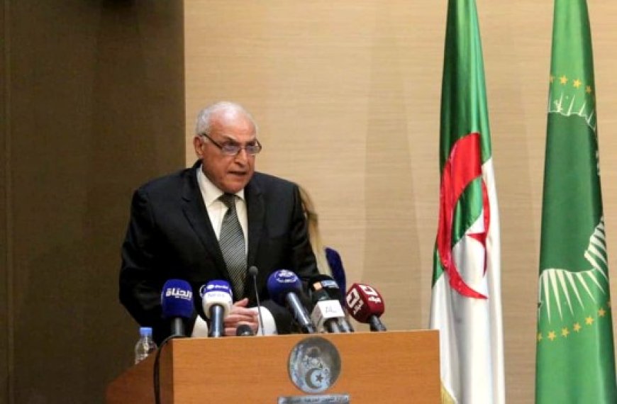 Célébration de la journée internationale de l’Afrique : L’Algérie souligne l’impératif d’unifier la voix du continent