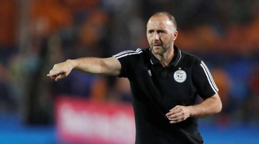 Il a qualifié Belmadi de terroriste : le journal camerounais Actu Cameroun présente des excuses