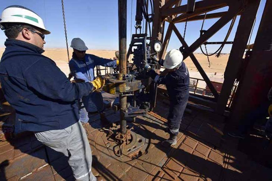 Grand sud / découverte d’un important gisement de pétrole dans le Bassin de Berkine