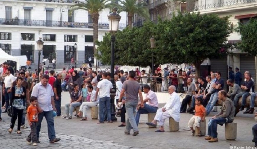 L’Office national des statistiques révèle la population de l’Algérie en 2022