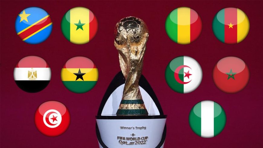 Coupe du monde 2022 / l’Algérie affrontera le Cameroun lors des barrages