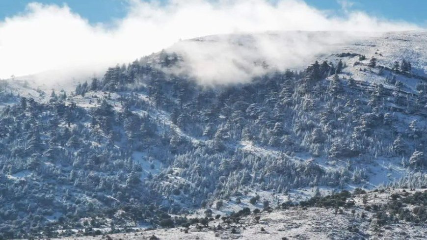 Algérie météo: Prévisions météo pour samedi