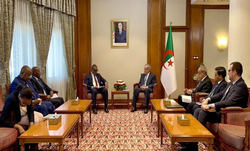 Algérie – Mozambique : renforcer la coordination et la concertation entre bilatérale sur les questions régionales et internationales