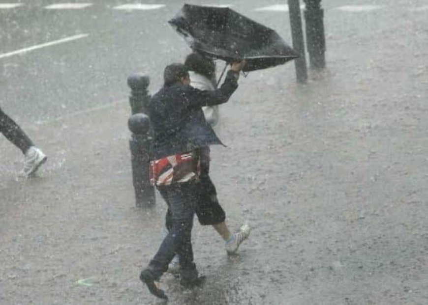 Météo / fortes pluies et vent dans 31 wilayas