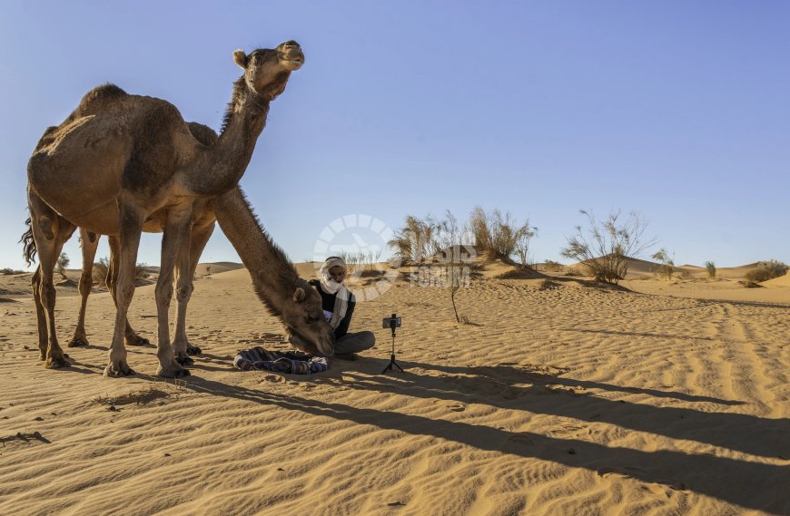 Deux photographies algériennes parmi les 10 meilleures au monde primées au concours « WSIS Photo Contest 2024 »