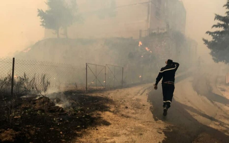 Incendies de forêt / les mesures prises en faveur des familles des victimes