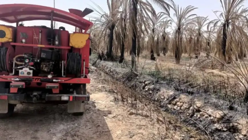 Ouargla : un incendie se déclare dans des palmeraies