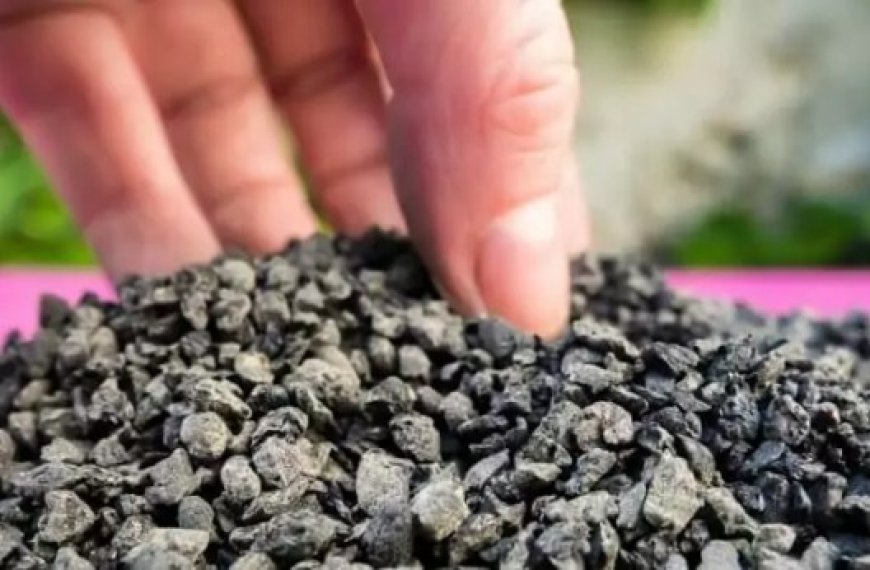 La filiere du Biochar et la troisieme révolution verte : De la régénération des sols agricoles, la séquestration de carbone, l’énergie, l’électricité à la dépollution des sols et des effluents