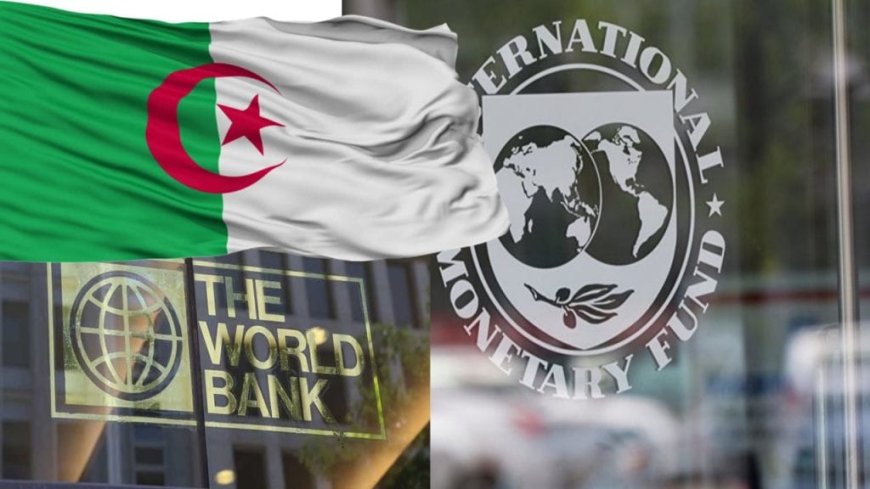 Un représentant du FMI met en avant la solidité des performances économiques de l’Algérie