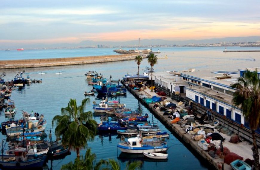 Port de pêche d’Alger : Badani promet la prise en charge des préoccupations des pêcheurs