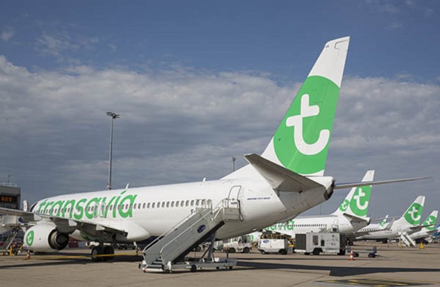 Hiver 2025 : Transavia prolonge ses vols entre Alger et Strasbourg