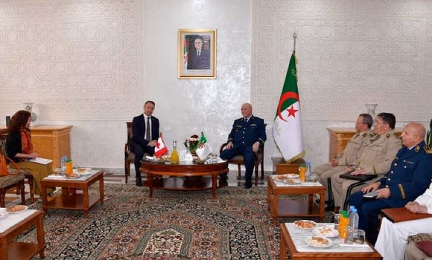 Le secrétaire général du MDN reçoit l’ambassadeur du Canada en Algérie