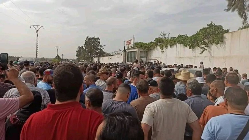 Aid El-Adha : Deux points de vente de mouton supplémentaires à Alger