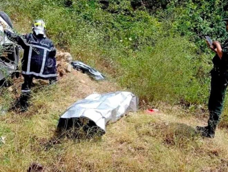 Route reliant El Milia à Sidi Maarouf  : Un homme de 65 ans perd la vie