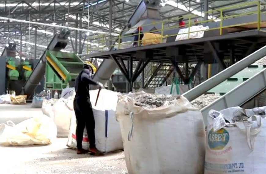 Wilaya de Boumerdès : L’investissement dans le recyclage se développe