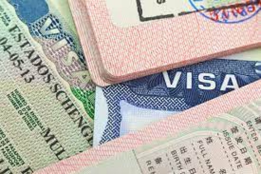 Visas Schengen : L’Europe Ouvre ses Portes aux Nomades Numériques