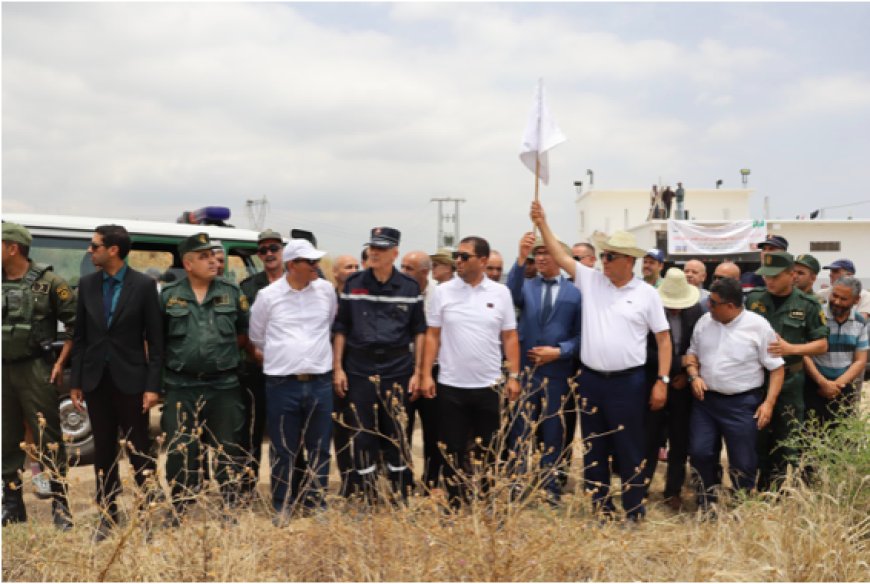 Campagne moisson-battage à Annaba : Jusqu’à 25 quintaux à l’hectare attendus !