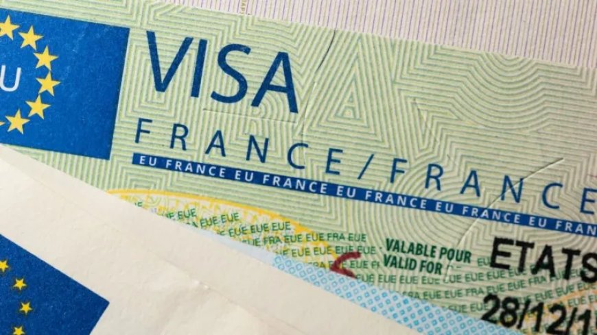 Les Chinois et les Algériens en Tête des Demandes de Visas Schengen pour la France