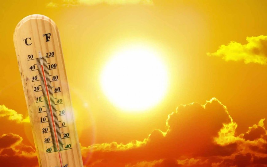 Météo : canicule à partir de mardi sur plusieurs wilayas