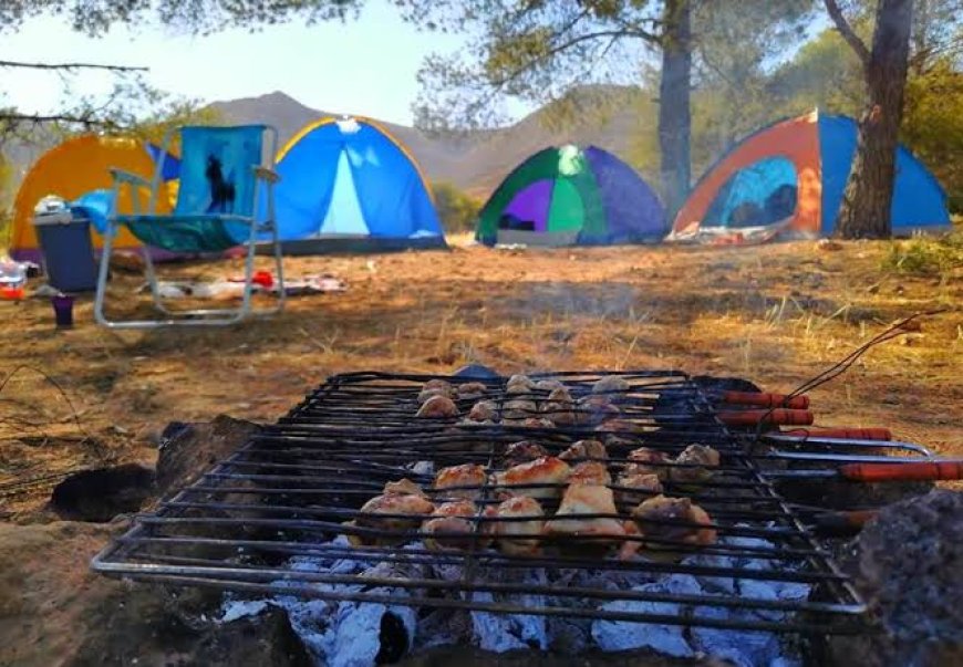 DGF : Barbecues et campings interdits dans les forêts et à proximité