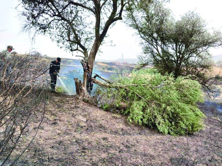 Ait Bouadou (Tizi Ouzou) : Un feu de forêt détruit des dizaines d’hectares de couvert végétal