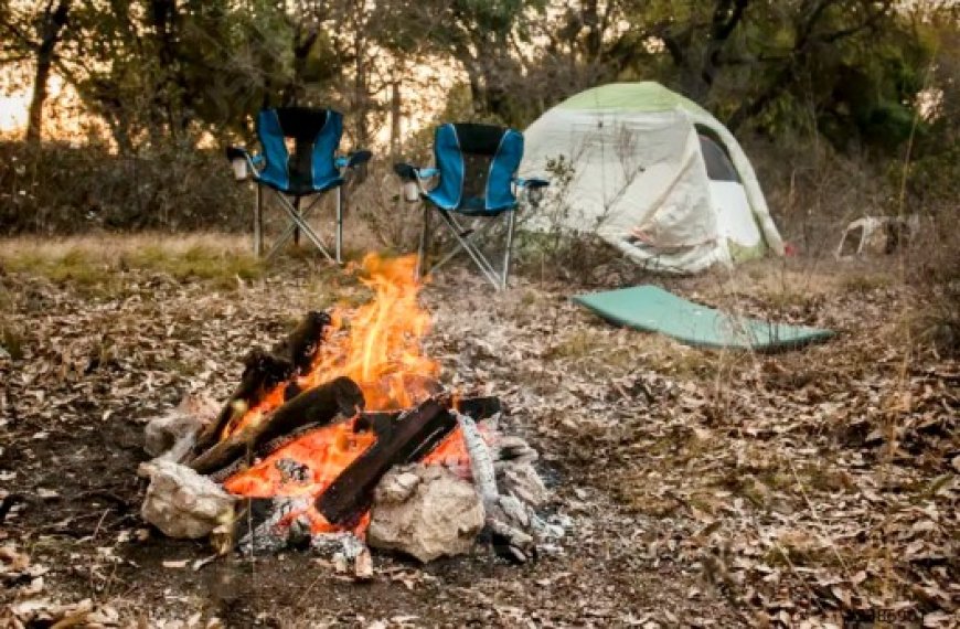 Alger : Barbecues et campings interdits dans les forêts