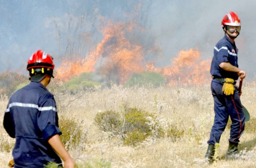 Lutte contre les feux de forêt : L’Etat privilégie une approche proactive