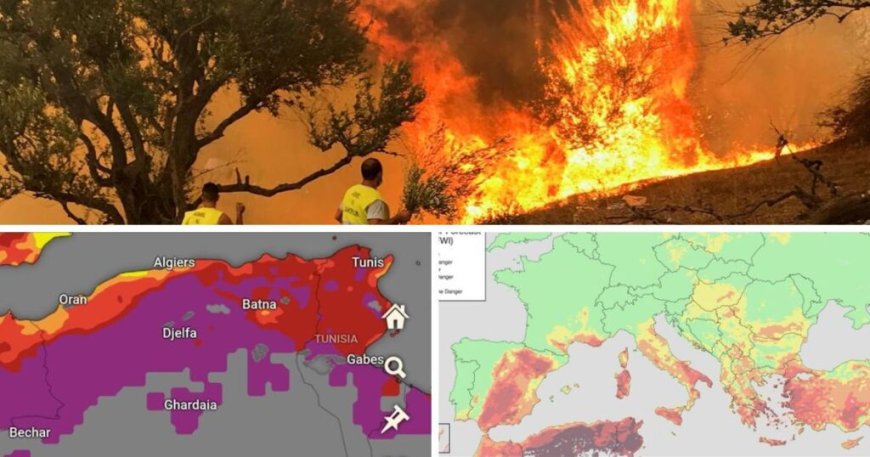 Canicule et risque d’incendie : Alerte rouge sur l’Algérie