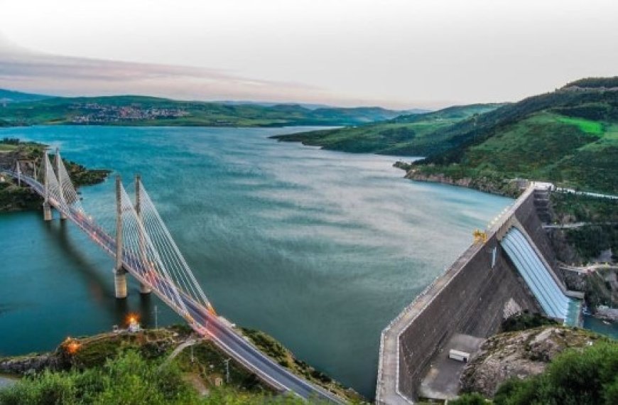 Campagne nationale d’alevinage dans les barrages de Mila, Skikda, Jijel et El Tarf : Vers la culture d’un million d’alevins de carpe