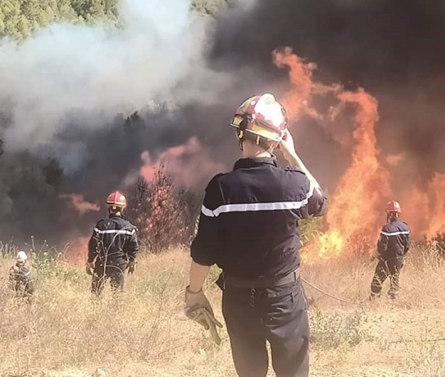 Noyades et feux de forêts : Le plan opérationnel de la Protection civile