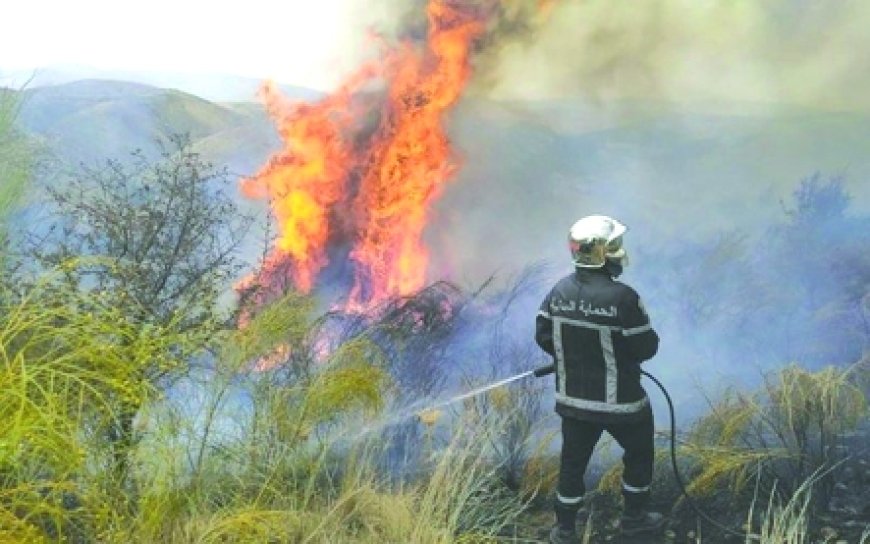 Période de grandes chaleurs à Béjaïa: Les premiers incendies de forêt enregistrés