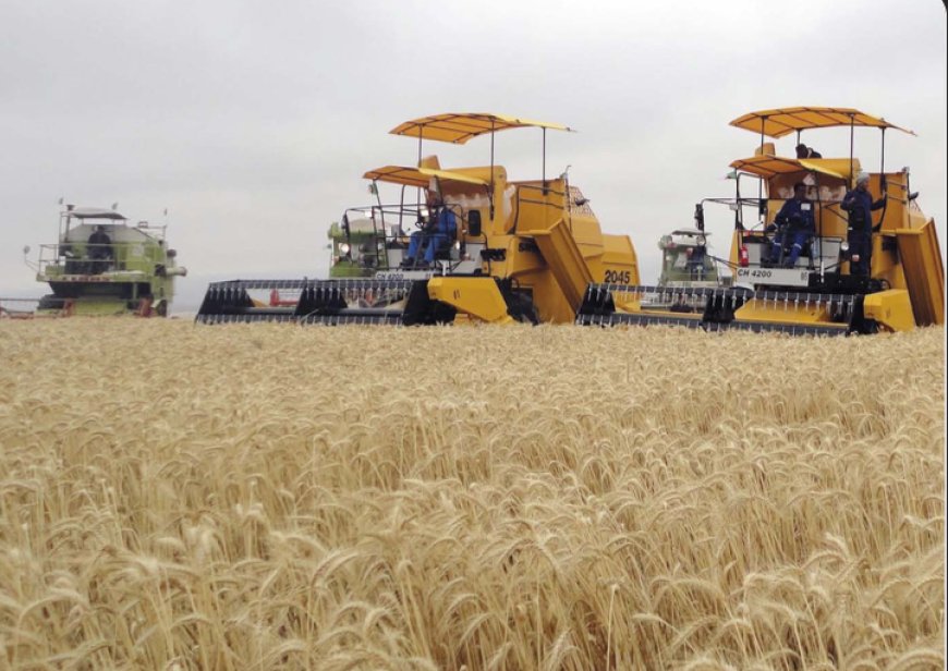 Céréales : L’autosuffisance à portée de main