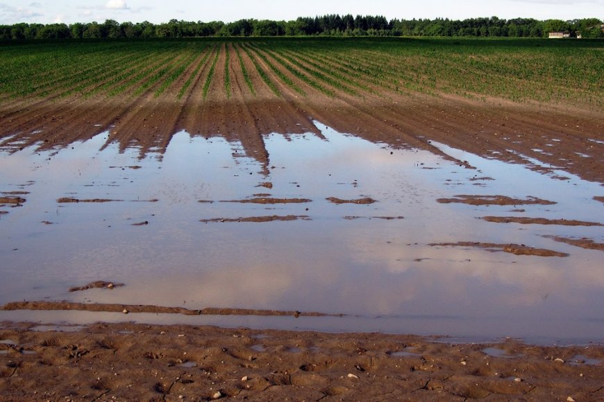 892 communes déclarées sinistrées pour calamité agricole en 2023