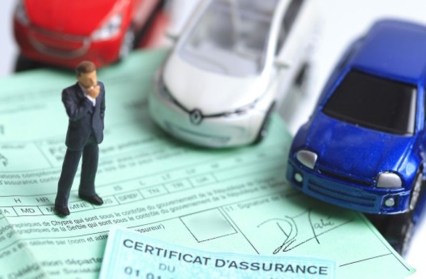 Assurance dommages : La branche automobile représente 54% du portefeuille