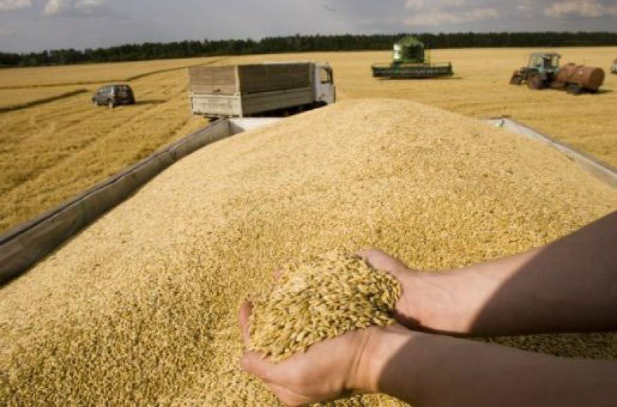 Céréales : 2 milliards $ pour la réalisation de 350 centres de proximité et 30 silos de stockage stratégique