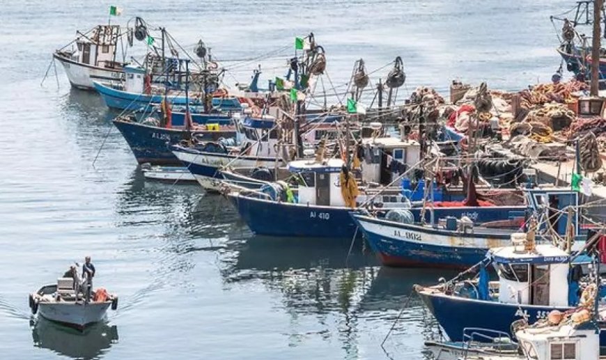 Pêche: Le ministère appelle les investisseurs à assurer leurs activités