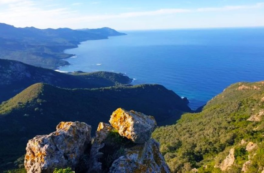 Concessions des plages autorisées à la baignade à Seraïdi (Annaba) : La direction du tourisme poursuivie  en justice