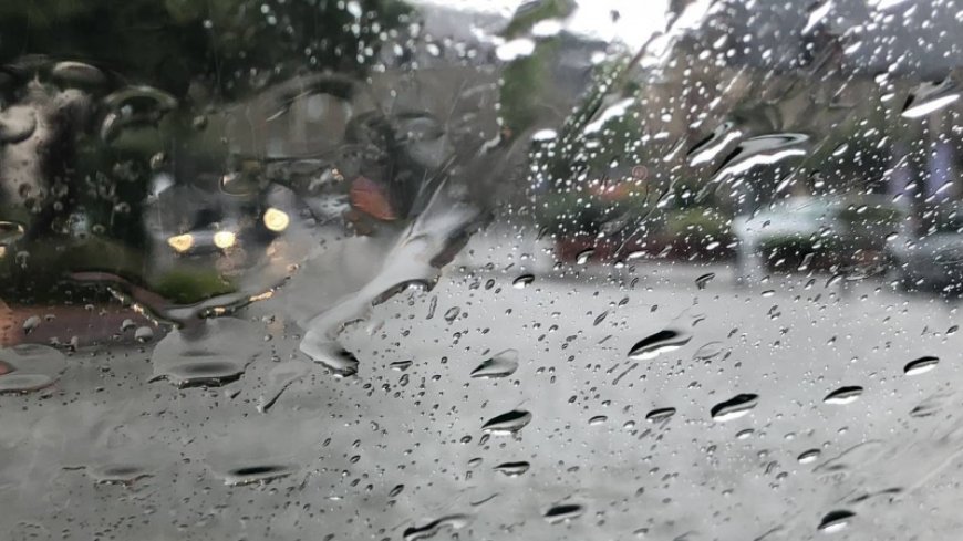 Météo : de fortes rafales de vent et de la pluie sur plusieurs wilayas