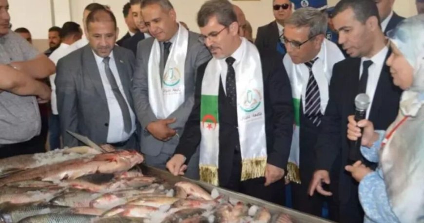 Produits halieutiques  : L’Algérie vise une production de 12 000 tonnes d’ici fin 2024