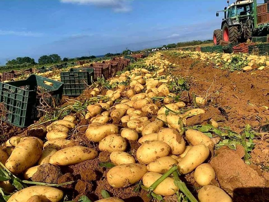 Recensement général de l’agriculture : voici les indemnités allouées aux personnels mobilisés