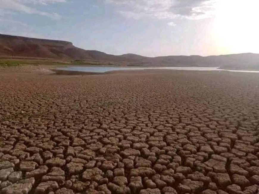 Plus de la moitié des communes déclarées zones sinistrées suite aux calamités agricoles de 2023