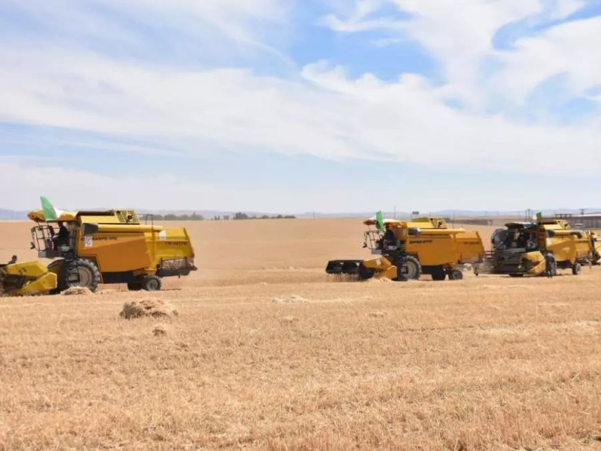 Recensement général de l’agriculture : 63% des exploitations agricoles recensées