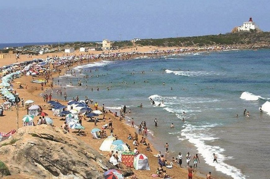 Saison estivale : ouverture de 61 plages autorisées à la baignade à Alger