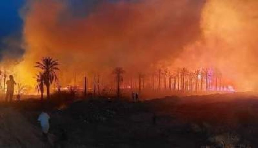 Incendies en Algérie : des feux déclarés au sud du pays