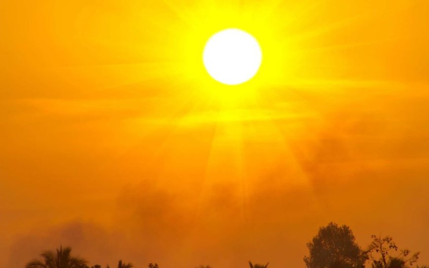 Persistance de la canicule sur plusieurs wilayas du sud du pays