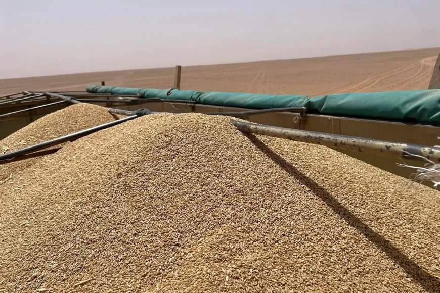 Céréales : le programme de réalisation de 30 silos de stockage lancé