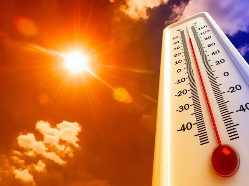 Météo : la canicule ne faiblit pas dans le Grand Sud