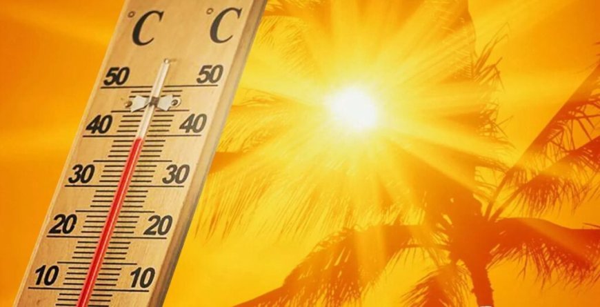 BMS – Météo Algérie : la température frôlera les 49 °C dans ces wilayas ce 3 juillet !