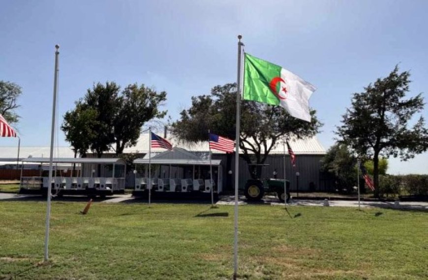 Dallas (USA) : Le drapeau algérien flotte pour la première fois au célèbre South Fork Ranch